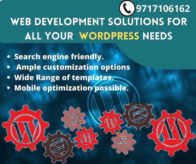 Web Development Company in Delhi Picture Box