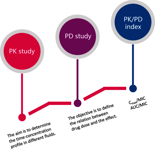 In Vivo PK/PD bioarray
