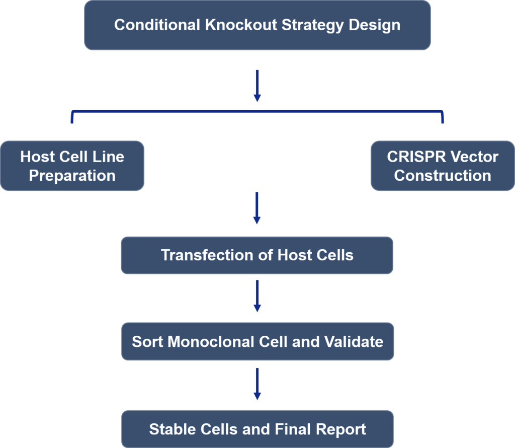 Conditional Knockout Mouse BIOGENE