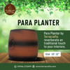 Terracotta Plant Pots - Ter... - Terracotta Plant Pots - Ter...