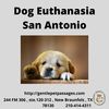 Dog Euthanasia San Antonio - Gentle Pet Passages