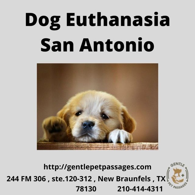 Dog Euthanasia San Antonio Gentle Pet Passages