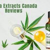 Alpha Extracts Hemp Oil Canada