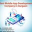 devloplmm - Best Mobile App Development Company in Gurgaon