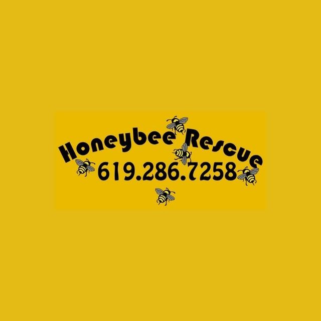 Honeybee Rescue Honeybee Rescue