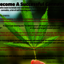 How to Become A Successful ... - Cannabis