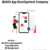 Copy of Mobile Pet Grooming... - mobile app development comp...