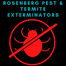 german roaches Rosenberg Picture Box
