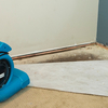 banner - Mold Remediation NYC