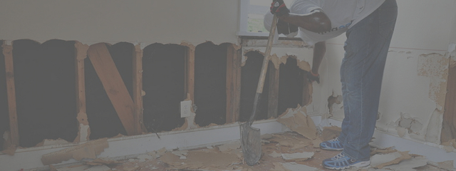 contact-form-bg Mold Remediation NYC
