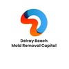 Delray Beach Mold dremoval Capital