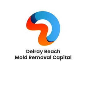 logo Delray Beach Mold dremoval Capital