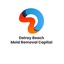 logo - Delray Beach Mold dremoval Capital