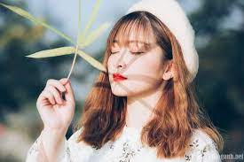 táº£i xuá»‘ng Picture Box