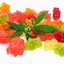 gummy - Mayim Bialik CBD Gummies