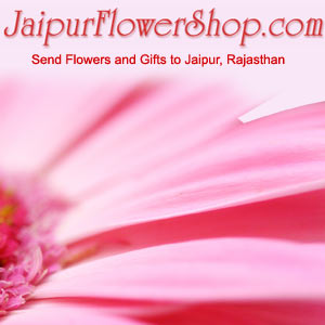 jaipurflowershop s Send Flowers to Jaipur Same Day