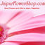jaipurflowershop s - Send Flowers to Jaipur Same Day