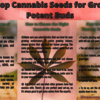 httpswww.bloglovin.com - Cannabis