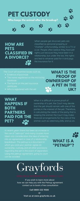 Pet custody who keeps the pet after a breakup Pet custody: who keeps the pet after a breakup?