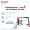 Term Insurance Plan Online Premium