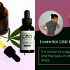 Essential CBD Extract
