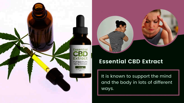 Essential CBD Extract â€“ See Benefits Essential CBD Extract