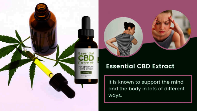 Essential CBD Extract – See Benefits Essential CBD Extract