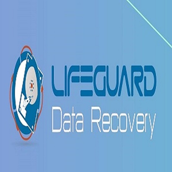 logo 1 LifeGuard Data Recovery