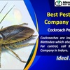 Best Pest Control Company i... - Picture Box