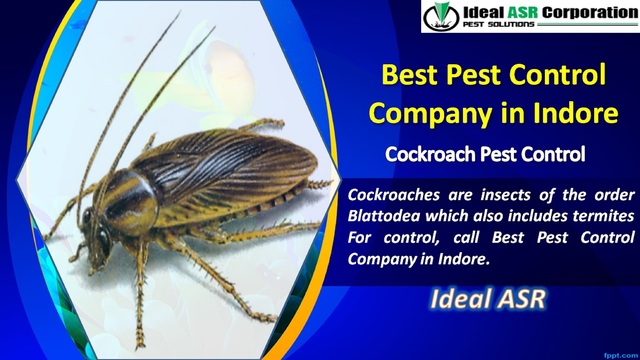 Best Pest Control Company in INDORE Picture Box