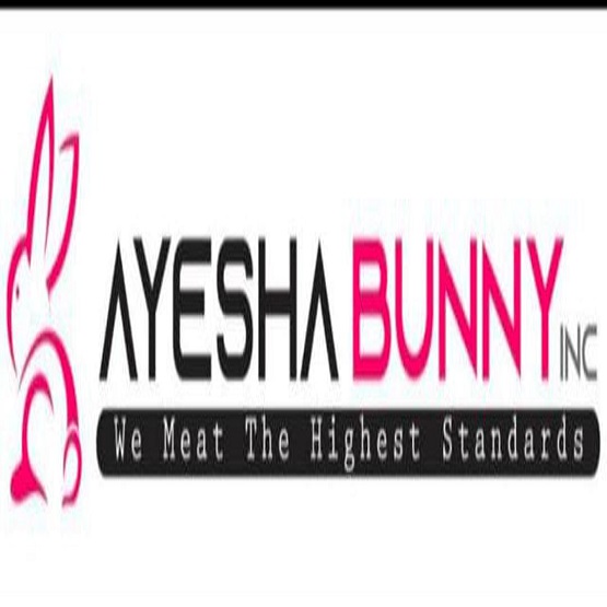 logo Ayesha bunny INC.