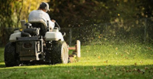 Bronx Lawn Care Service1 Bronx Lawn Care Service