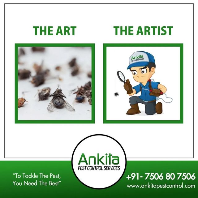 Pest Control in Mumbai- Ankita-Pest-Control Pest Control in Mumbai- Ankita-Pest-Control