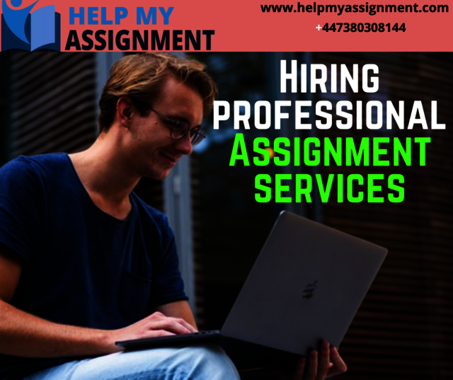 Hiring professional Assignment services  Picture Box