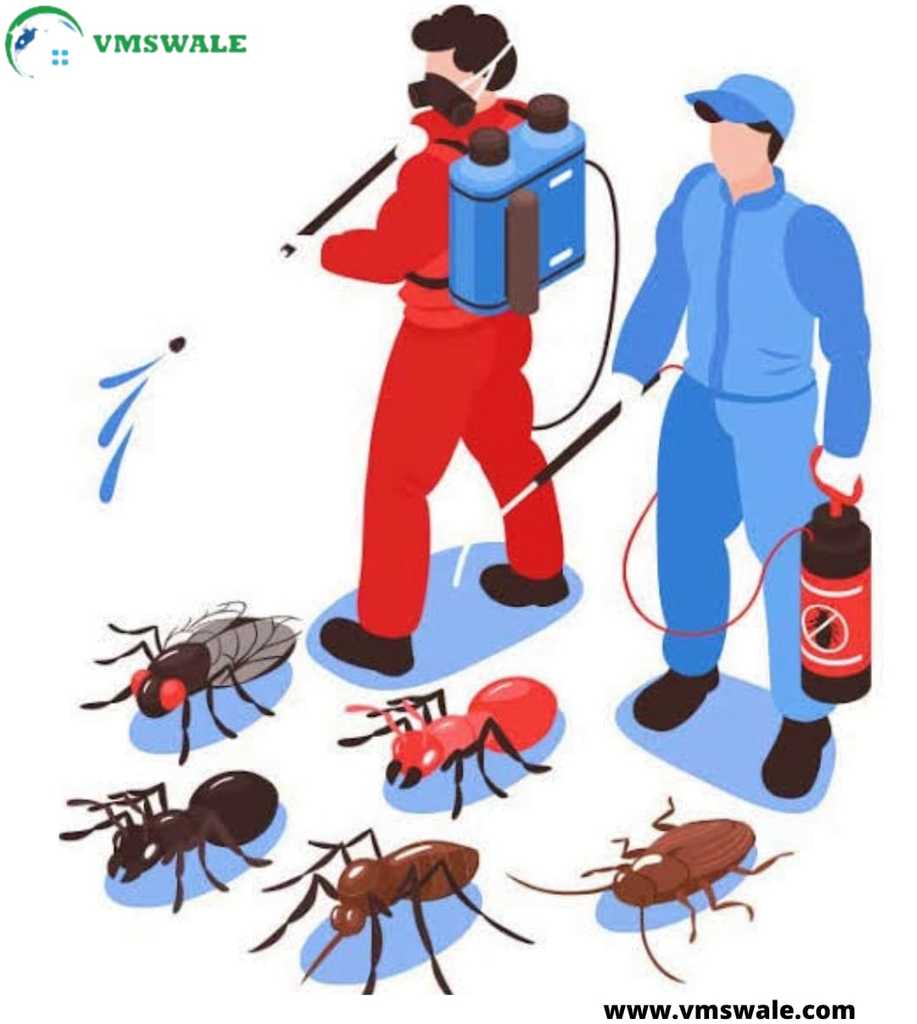 Pest Control Service Near Me Picture Box