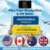 Crossworld Immigration - Best Immigration Experts Ludhiana.