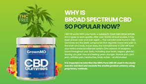 download (70) GrownMD CBD Gummies (Scam Exposed 2022) Benefits!