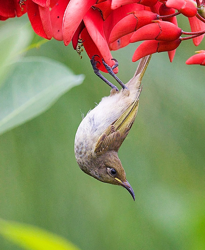 52007912316 c1114ff566 c - 