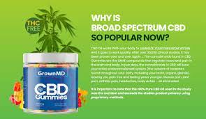 download (70) GrownMD CBD Gummies Latest Formula For Aches