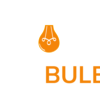 Bulb-Guys-Logo-White - The Bulb Guys