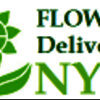 logo - Florist Delivery Financial ...