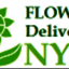 logo - Dozen Roses Delivery NYC