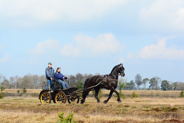 DSC 8221 foto's van website portfolio niet wegdoen