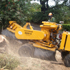 gallery img2 - Discount Tree Cutting Compa...