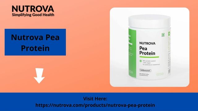 pea protein sandyrova