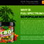 wdd - Tiger Woods CBD Gummies