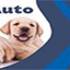 logo - C C Auto Repairs