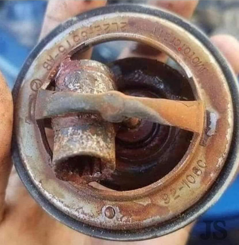 280029676 1991180411078746 1153752777554521232 n - 