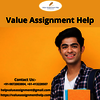 We provide assignment help ... - Picture Box