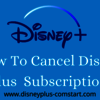 How To cancel Disney Plus S... - Picture Box